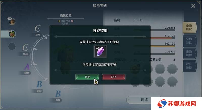 龙与家园时光