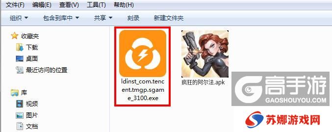  疯狂的阿尔法电脑版安装程序