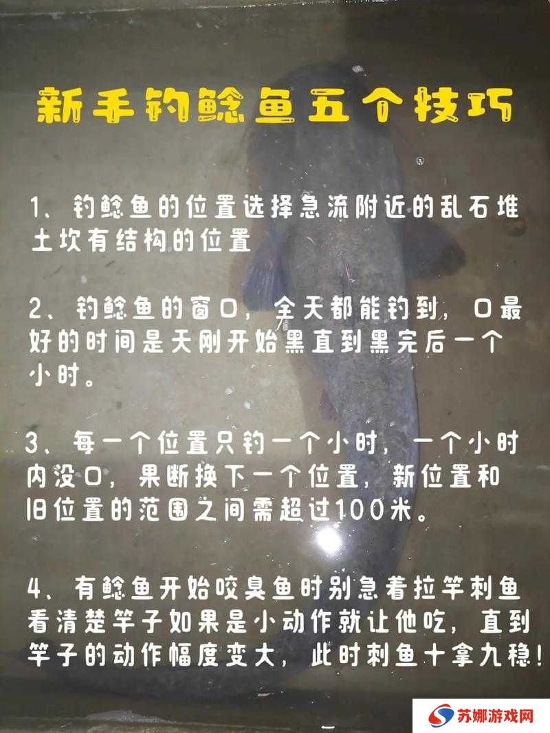 小森生活鲶鱼究竟藏身何处？全面钓鱼攻略指南揭秘！